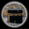ya799585t2f