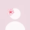 ila_star4