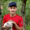 zeeshansiraj33