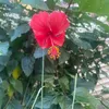 user19668107925815