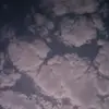 hdjdhob8g8