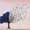 statusdvida