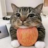 apple.cat777