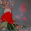 zainb4745