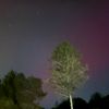 stary_10203040