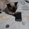 3rnestoo00