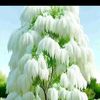 abdoul.ousseyni.d