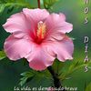 eduardo.jimenes81