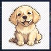bruno_buw