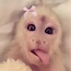 lilyspammm824