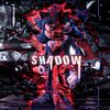 SHADOW