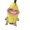 mmwjmmkkgmail.com