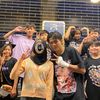 nihao_.6