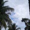 panggilajazazarorrr