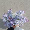 aidanausupova.1