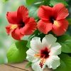 mom.rasel7