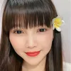 KIM YẾN MT