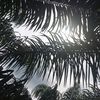 user3311775562718