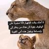 user5946718125336