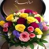 nouchanoucha821