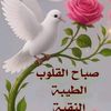 user7193673723112