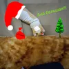 kakamka_52