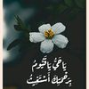 esraaosman258