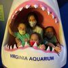 meanscousins