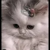 hannie2013meow