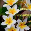 jass.bajwa910