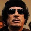 ali.abukil