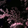 s_7777775
