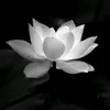 kim45044