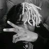 luxhavockxs