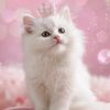 mara.mariam4