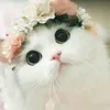 ngc.cute1111