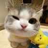 jjealous_1
