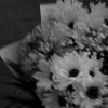 clyys_a