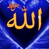 user5736039080684