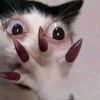 loly.jamal8