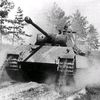 panther.a0
