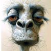 mr.veps1