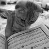 haqqin_sesi10