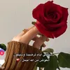 user72616004906767