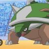torterra51