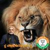 lion.shah4