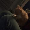 dudehedoesloveu_