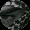 rayko344