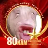 minhngoc23568