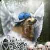 jczxarg_